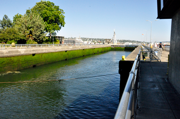 Ballard Locks 